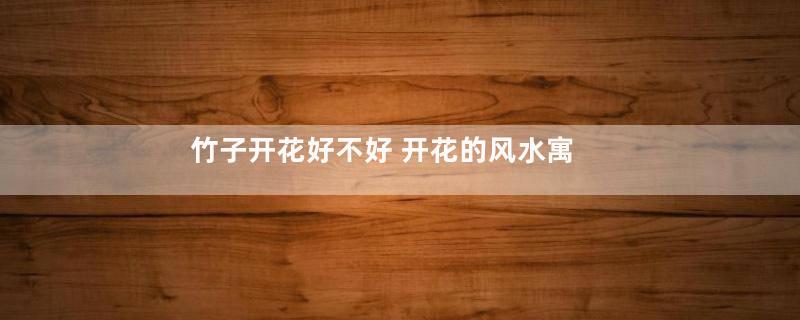 竹子开花好不好 开花的风水寓意